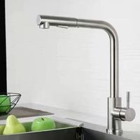 Robinet de cuisine américain à double poignée en acier inoxydable 304, à trou unique, extractible, télescopique, rotatif, brossé