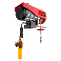 Mini palan électrique 220V neuf avec câble métallique pour hôtels, maisons et restaurants
