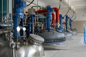 น้ำมันโรสฮิปบริสุทธิ์ 100% ออร์แกนิค ลดรอยสิว จุดด่างดำ สำหรับผิวหน้า รับผลิตแบบ OEM/ODM สำหรับแบรนด์ส่วนตัว - Product Image 3