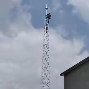 ライトニングタワー通信保護<span class=keywords><strong>Arrester</strong></span>構造通信用ライトニングプロテクション - Product Image 6