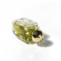 Flacon de parfum vide au design unique, atomiseur de parfum, emballage d'huile essentielle, flacon de parfum en verre transparent de luxe 100 ml