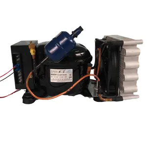 Unidad de condensación en miniatura DC12V24V48V R134a BD35HC para refrigerador, congelador con termostato
