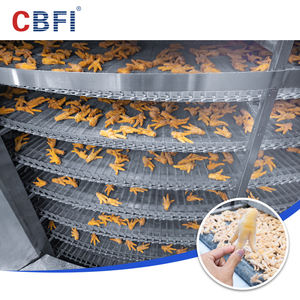2000 kg/h Iqf 냉동고 Iqf 나선형 냉동고 가격 냉동 튀긴 고기 - Product Image 3