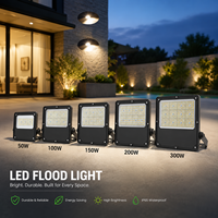 Projecteur LED extérieur commercial 100W 200W 300W, éclairage de sécurité pour usine, entrepôt, bâtiment