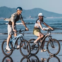 Vélo électrique tout-terrain hybride de montagne 48V Q5 neuf avec moteur arrière sans balais 250W, batterie lithium 13Ah, 45 km/h