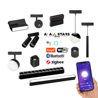 Luz de pista de mejor precio, colgante de techo lineal Led magnético, luces de bola de tubo magnético, 2 rieles de alambre, pista magnética ultradelgada