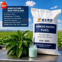 Sulfato Ferroso FeSO4 H2O 91% de Humedad Mínima 1% de Humedad Máxima Polvo Seco de Flujo Libre
