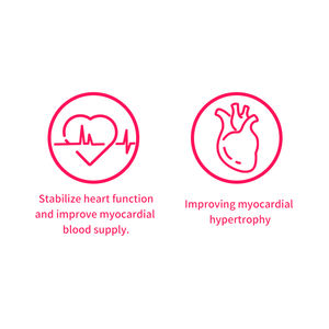 Integratore OEM/ODM per la protezione cardiaca degli animali domestici, integratore di CoQ10 per stabilizzare la funzione cardiaca di cani e gatti - Product Image 2