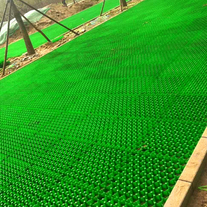 Hoge Kwaliteit Hdpe Plastic Bestrating/Raster Oprit Mat Voor Tuin Buitenlandschap Park Gebruik Voor Gras Planten En Drainage