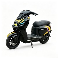 Trottinette électrique 2000W, contrôleur à module 12T, amortisseur hydraulique avant, frein à disque double