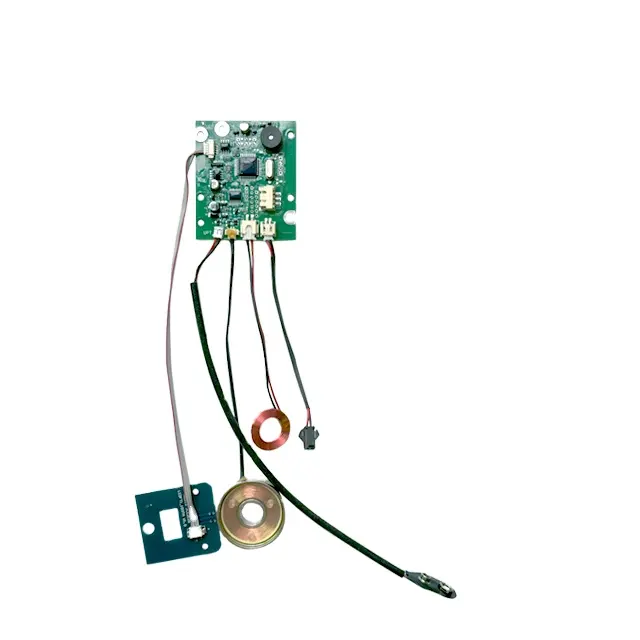 DIGI TEMIC PCB per serratura 93 circuito di blocco della porta