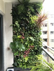 Trang trí trần nhà bằng cây xanh nhân tạo, cây giả treo, lá cây giả, dây leo trang trí - Product Image 3