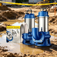 Pompe submersible de découpe des eaux usées 1HP 0,75kW en acier inoxydable 304, 500L/min, hauteur de refoulement 30m, 220V, pour drainage des eaux usées