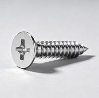 304 Stainless Steel Phillips Self Tapping Screws High Precision Fastener