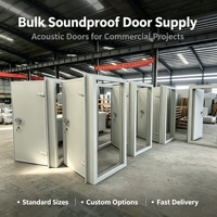 Porte acoustique insonorisée en acier, fabrication directe d'usine, pour projet de contrôle du bruit industriel