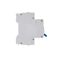 Para uso industrial, disyuntores CHINT en miniatura genuinos a estrenar 1P, 2P, 3P, 4P, modelo 2 A, 230V, 50Hz.