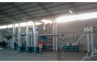 Usine de nettoyage et de tri des grains de café vert Usine de nettoyage complète du traitement des grains de café fabriquée en Chine