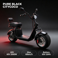 Scooter électrique Citycoco 60V 2000W à deux roues, pneus larges intelligents de 10 pouces, longue autonomie, puissant, batterie lithium 20Ah, utilisation en ville, alliage