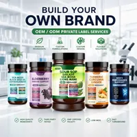 Complément Adaptogène 24-en-1 : Capsules de Corossol, Shilajit, Mousse de Mer, Crinière de Lion pour la Santé Immunitaire, Énergétique et Cérébrale – 60 Comprimés – Adulte – OEM ODM