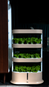 Fabricant de source Vente en gros Ville Agriculture Système hydroponique Usage domestique Jardinière de légumes pour <span class=keywords><strong>tour</strong></span> hydroponique de fraises - Product Image 3