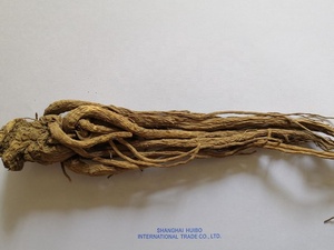 Rễ Cây Bạch Chỉ/Lát/Bột <span class=keywords><strong>Dong</strong></span> <span class=keywords><strong>Quai</strong></span>/Chiết Xuất Bạch Chỉ Số Lượng Lớn Bán Sỉ - Product Image 4