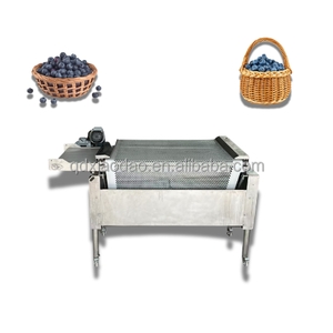 <span class=keywords><strong>Prix</strong></span> d'usine 1 tonne/heure niveleuse de taille de myrtille niveleuse de tomates cerises pour usine de transformation de fruits frais - Product Image 1