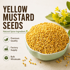 <span class=keywords><strong>Graines</strong></span> <span class=keywords><strong>de</strong></span> moutarde jaunes <span class=keywords><strong>de</strong></span> qualité supérieure, naturelles, entières, pour la mise en conserve et la transformation alimentaire - Product Image 1