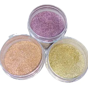 Special offer Pure Silver Pigment cosmetics Eyeshadow powder pigment