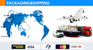 Mesin <span class=keywords><strong>Ultrasound</strong></span> merek terkenal hewan <span class=keywords><strong>Sonoscape</strong></span> <span class=keywords><strong>A5</strong></span> dengan harga terbaik di Cina - Product Image 6