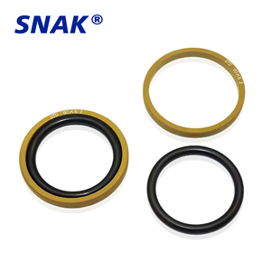 Joint d'étanchéité SNAK Factory 109 tailles STD STd OED OEdF GRS GSF BSF MSF Glen pour vérin hydraulique, joint d'étanchéité à huile à étapes - Product Image 3