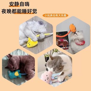 Juguete de peluche para gatos, cuerda para masticar, juguete para estimular a los gatos, cuerda para autoentretenimiento, juguete para limpiar los dientes, fruta de gallina de insectos, hierba gatera, nuevo juguete para gatos. - Product Image 4