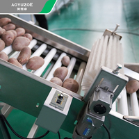 Aoyuzoe Automatische Fruit Levende Vis Oranje Appel Aardappel Grootte Gewicht Sorteren Sortering Grader Machine Per Systeem