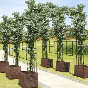 Nhà Máy Cung Cấp Vườn Vòm Vườn Trellis Arbor Nho Arbor Pergola Cho Leo Núi Thực Vật Hoa Hồng Dây Leo Cô Dâu Đảng Trang Trí - Product Image 3