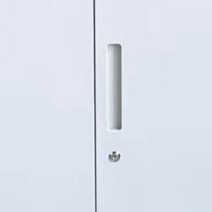 जिम कार्यालय अस्पताल भंडारण कैबिनेट के लिए अलमारियों के साथ प्रमुख लॉक भारी शुल्क धातु स्टील अलमारी लॉकर - Product Image 3