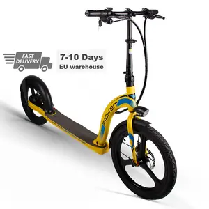 Venta al por mayor ecobike scooter eléctrico-Patinete eléctrico de alta calidad, precio adecuado, venta al por mayor