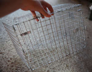 Nuova Rete Metallica Saldata in Ferro Zincato con Fori Quadrati per Gabbie di Conigli e Visone - Product Image 6