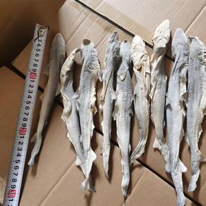 بيع بالجملة الأسماك الحية الغريبة للدبابات والبرك سريعة النمو مثالية لهواة جمع الحيوانات الأليفة القرش الحيوانات الأليفة تجميد الغذاء المجفف - Product Image 2