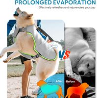 Gilet rafraîchissant pour chien en gros 2-en-1 avec gel froid activé par l'eau, prévient les coups de chaleur, harnais en maille réglable pour la marche en extérieur