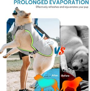 Gilet rafraîchissant pour chien en gros 2-en-1 avec gel froid activé par l'eau, prévient les coups de chaleur, harnais en maille réglable pour la marche en extérieur - Product Image 4
