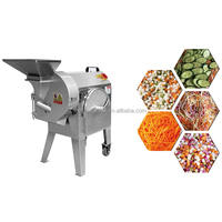 Commerciële groente- en fruitbereidingsmachine motor 304 roestvrij staal multifunctionele snijmachine voor restaurant catering centraal