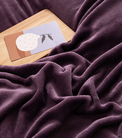 Couette d'hiver douce en velours 100% polyester, ensemble de literie 4 pièces pour lit double, taille king