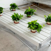Plateaux agricoles verticaux hydroponique pot table d'inondation