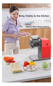 DQ-90 thịt Slicer máy thương mại thịt Mincer cho nhà hàng - Product Image 4