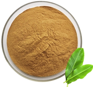 Pure Natural <span class=keywords><strong>Corosolic</strong></span> Ácido <span class=keywords><strong>Banaba</strong></span> Folha Extrato Em Pó - Product Image 1