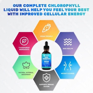 Extrait de chlorophylle organique OEM/ODM Veganchlorophyll en gouttes pour la santé immunitaire - Product Image 3