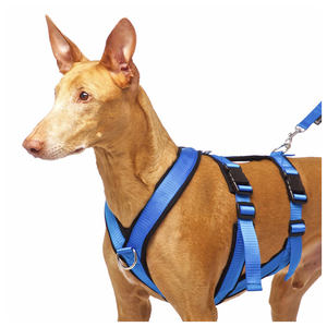 犬用胸ボディベルトグレイハウンドハーネスパディング付きプロメーカー調整可能 - Product Image 3