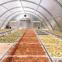Film plastique de serre en polyéthylène pour l'agriculture, fourni par l'usine, pour les légumes, avec longueur personnalisée