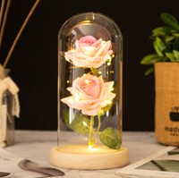 AYOYO – coffret cadeau de roses OEM pour la fête des mères et la saint-valentin, éclairage de dôme en verre