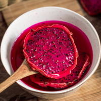 Groothandelsprijs Gedroogde Drakenvrucht Schijfjes Goede Kwaliteit Gezonde Fruitsnack Gedroogde Pitaya Fruitthee