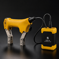 Détecteur de défauts à fourche magnétique AC rechargeable haute sensibilité LKMT-D4, direct usine, pour l'inspection NDT des soudures industrielles